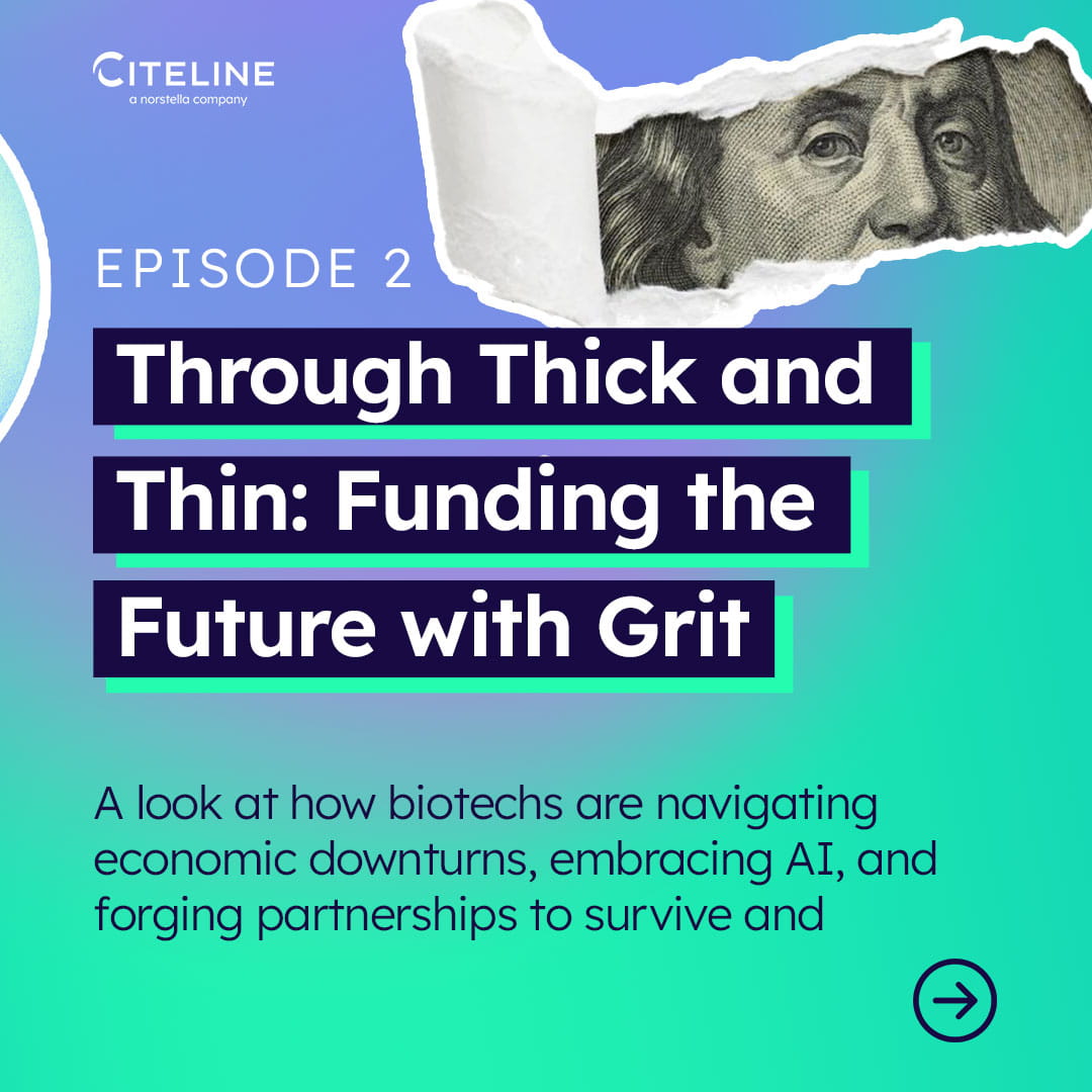 Podcast episode 2