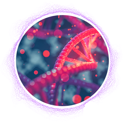 3D rendering of a DNA helix.