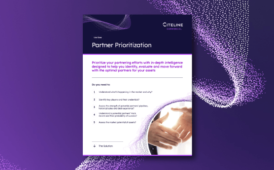 PDF preview of the Partner Prioritization use case available for download.